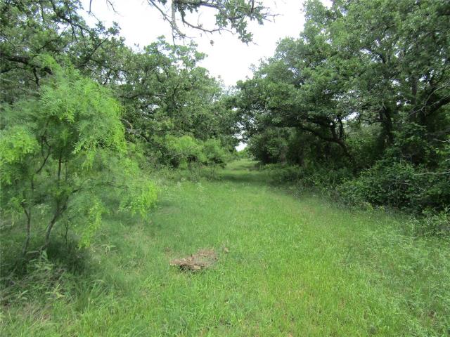Land for sale in Rising Star, Texas