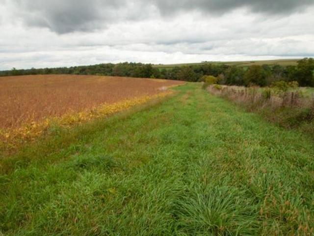 Land for sale in Waukon, Iowa
