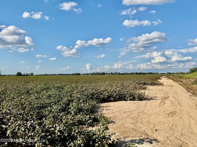 Land for sale in Crowder, Panola County