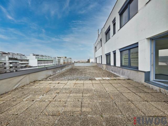 Gewerbe mieten in Wiener Neudorf, Niederösterreich