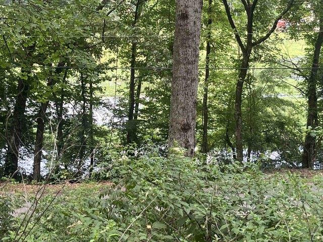 Land for sale in Guntersville, Alabama