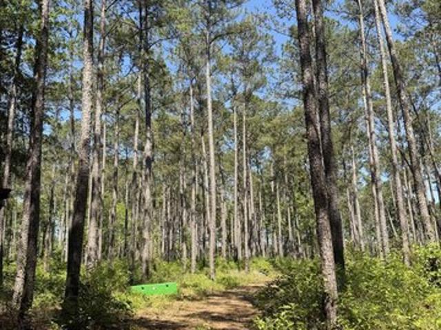 Land for sale in Chattahoochee, Florida