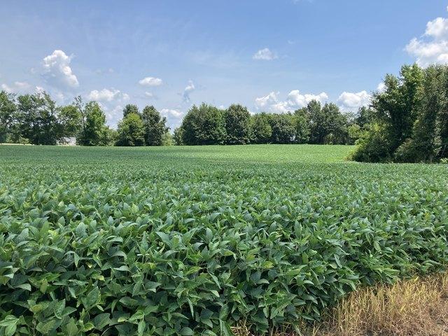Farm for sale in Tennessee