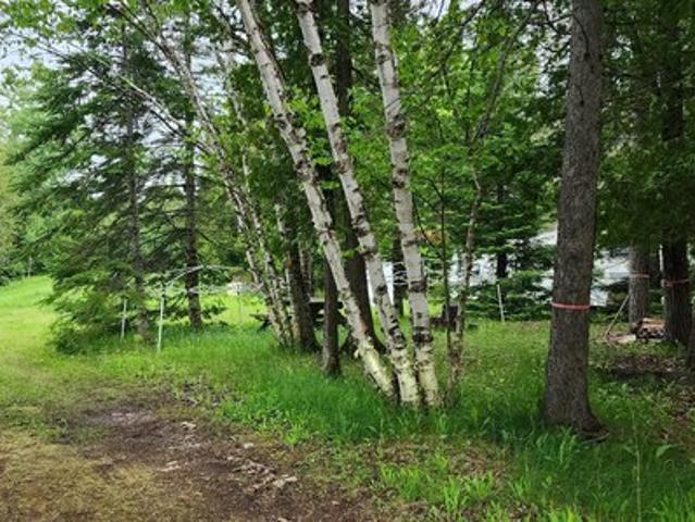 Land for sale in Goetzville, Michigan