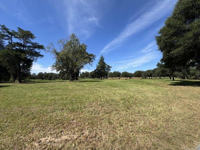Land for sale in Ponce de Leon, Holmes County