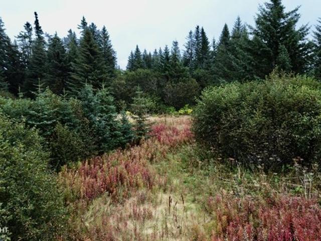 Land for sale in Anchor Point