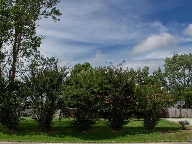 House for sale in Elkmont, Alabama