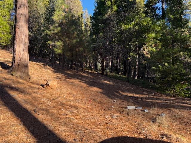 Land for sale in Arnold, California