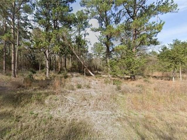 Land for sale in Bedias, Grimes County