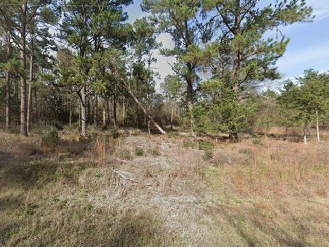 Land for sale in Grimes, Texas