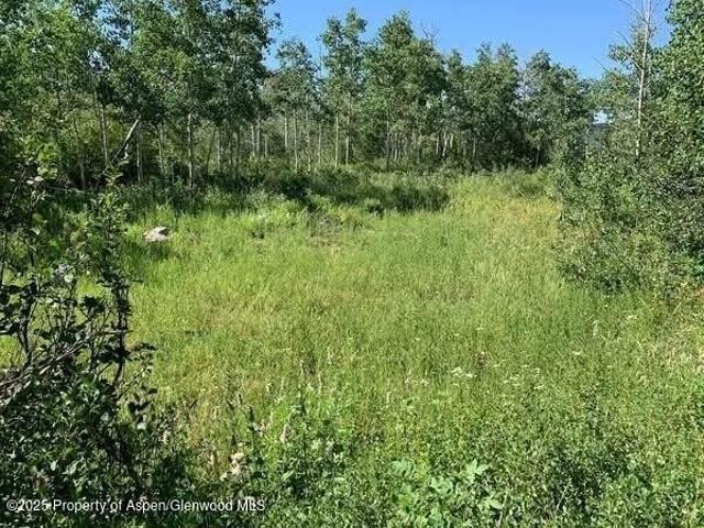 Land for sale in Craig, Colorado