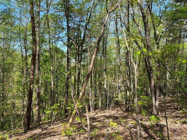Land for sale in Waleska, Georgia