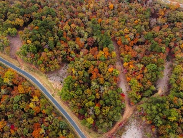 Land for sale in Gilmer, Georgia