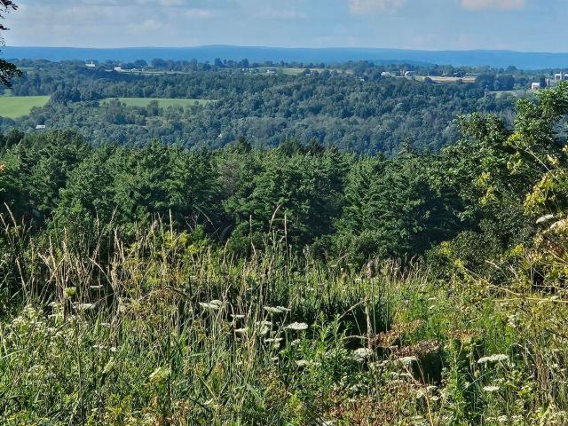 House for sale in Village of Canajoharie, Town of Canajoharie