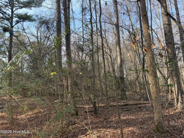 Property for sale in Bath, North Carolina