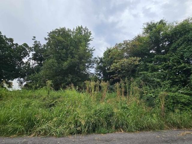 Land for sale in Tennessee