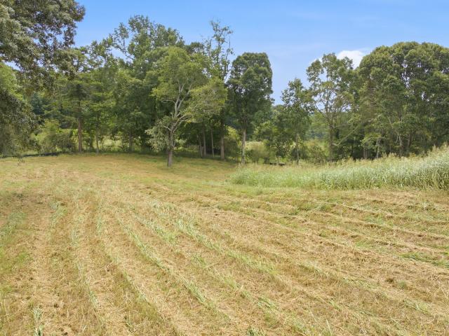 Land for sale in Lula, Banks County