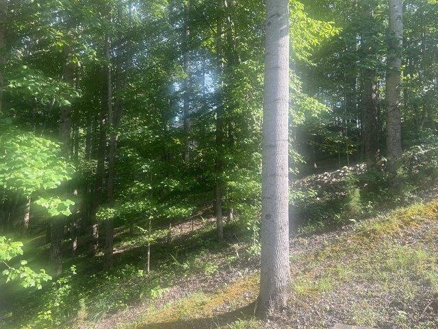 Land for sale in Tennessee