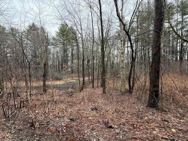 Land for sale in New Hampshire