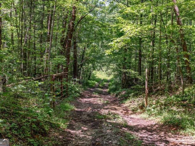 Land for sale in Young Harris, Georgia
