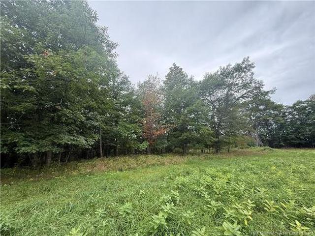 Land for sale in Queensbury, New Brunswick