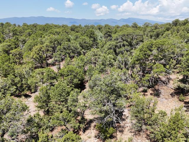 Land for sale in Placitas, New Mexico