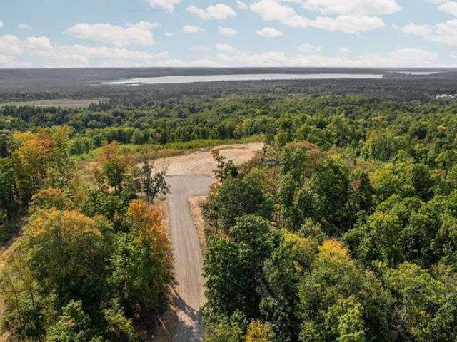 Land for sale in Alden, Michigan