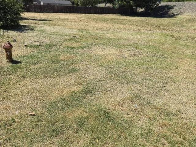 Land for sale in Colusa, Colusa County