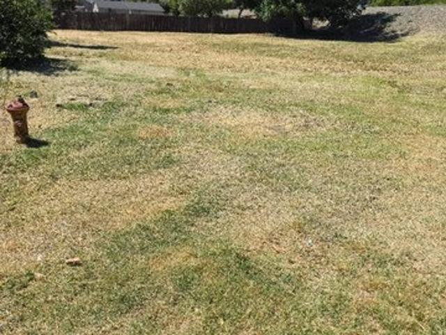 Land for sale in Colusa, California