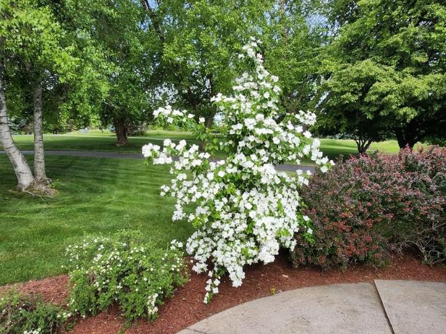 House for sale in Lanark, Illinois