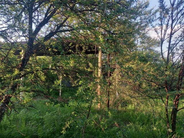 Farm for sale in Koppies, Free State