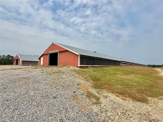 Land for sale in Geneva, Alabama