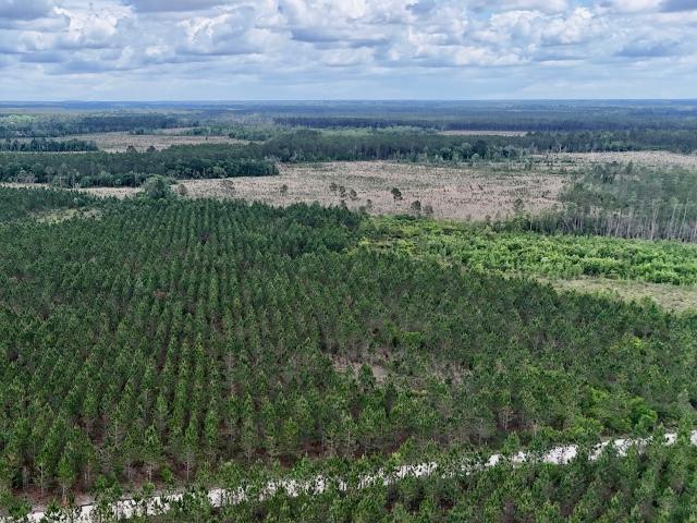 Land for sale in Odum, Georgia