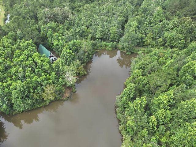 Land for sale in Geneva, Alabama