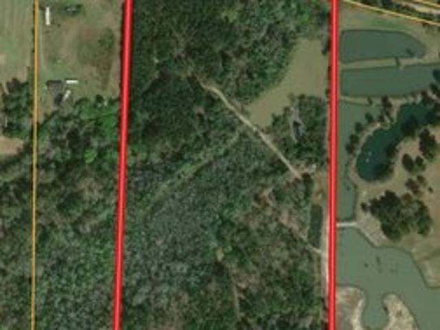 Land for sale in Geneva, Alabama