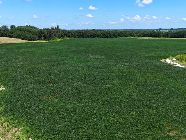 Land for sale in Bicknell, Indiana