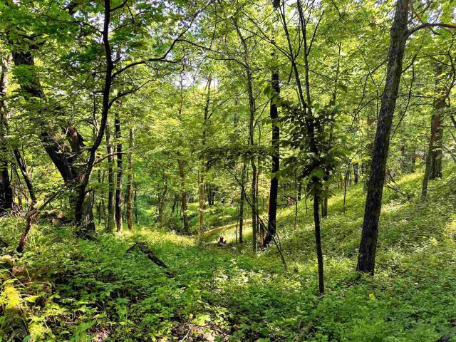 Land for sale in Iowa