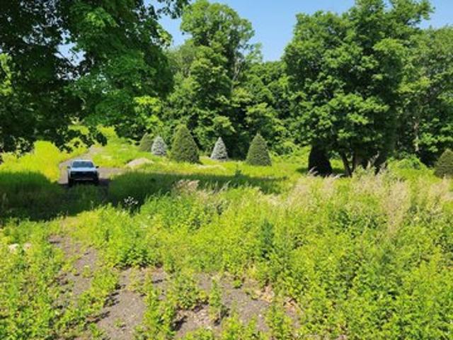 Land for sale in Redding, Connecticut