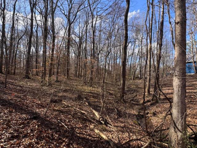 Land for sale in Jamestown, Kentucky