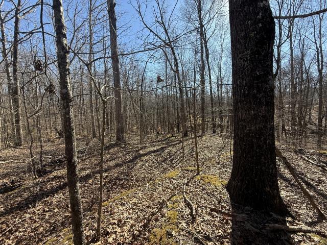 Land for sale in Tennessee