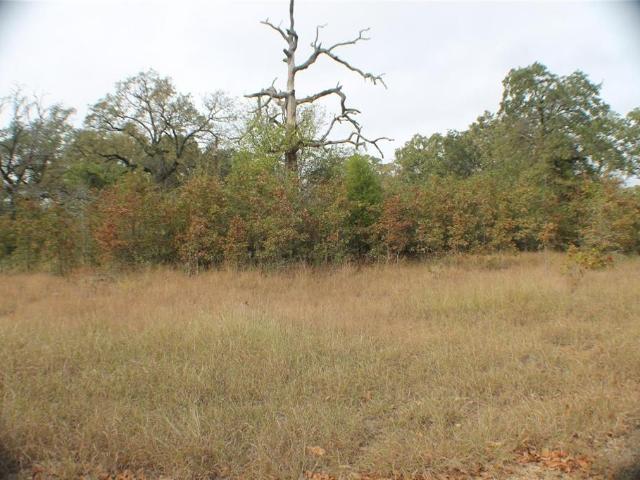 Land for sale in Malakoff, Henderson County