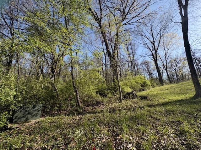 Land for sale in Putnam, Illinois