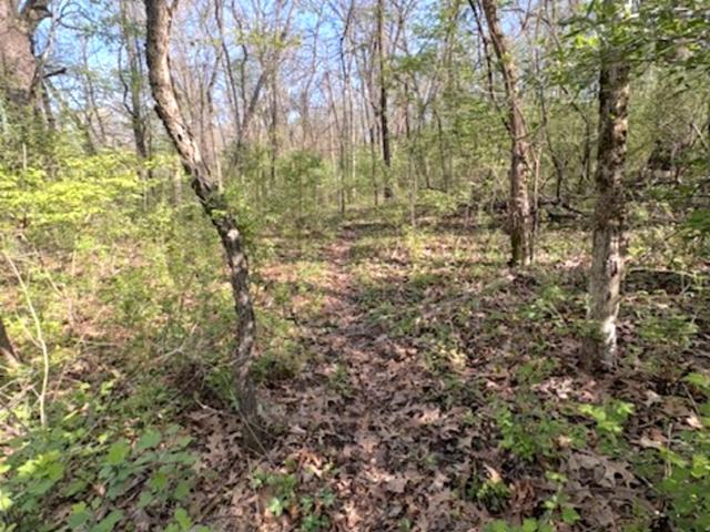 Land for sale in Putnam County, Illinois