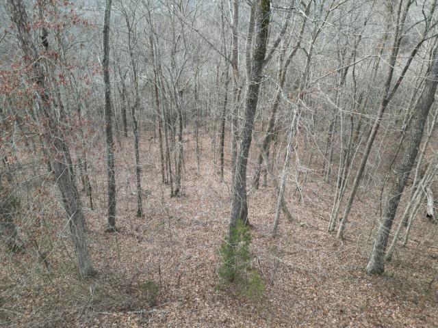 Land for sale in Burnside, Kentucky