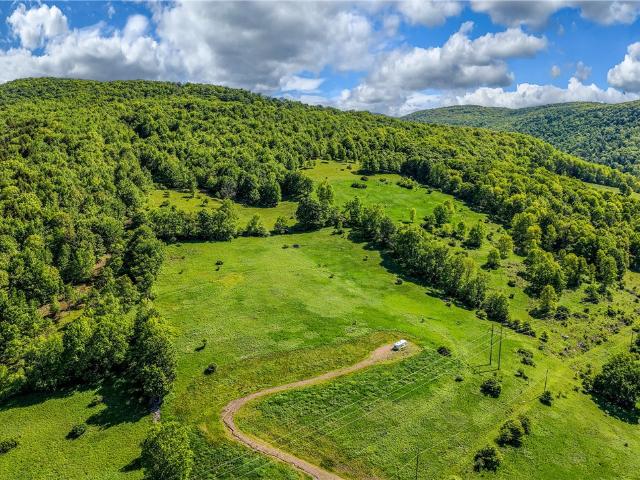 Land for sale in Bloomville, New York