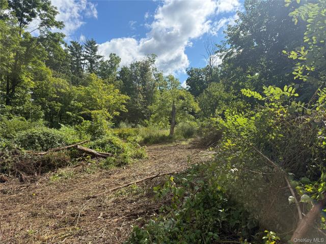 Land for sale in Holmes, New York