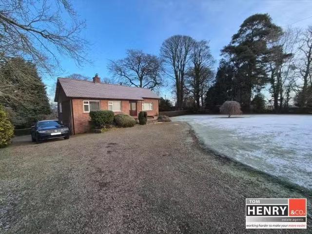 House to rent