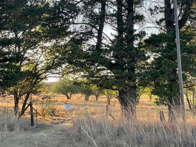 Land for sale in Rosendal, Free State