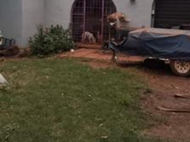 Farm for sale in Mopani, Limpopo