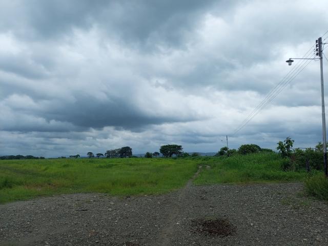 Finca en venta en Gua, Portuguesa